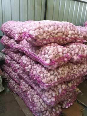 Mix Grade Mandi Garlic