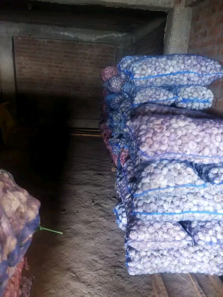 Sirmauri Garlic Stock